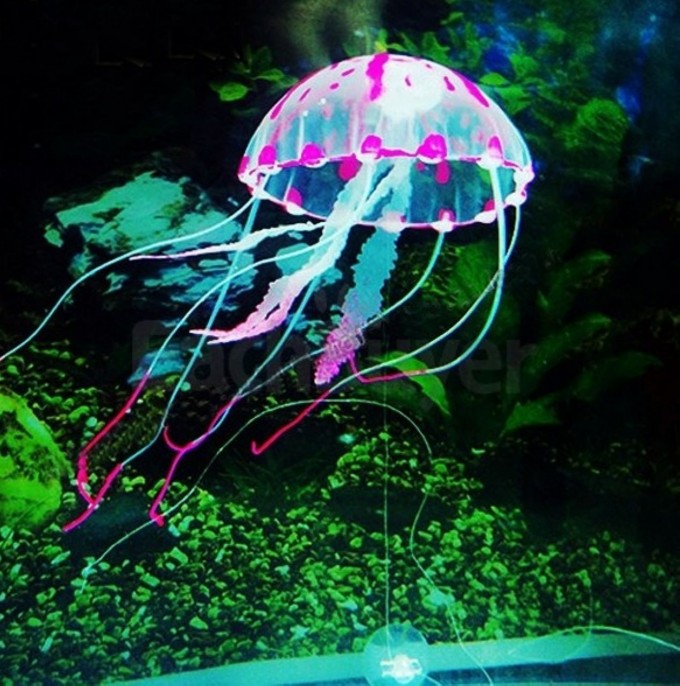 floating-jellyfish-glowing-lights-swimming-pool